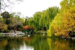 未时是什么时候