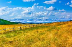 凡事宜顺吉之兆