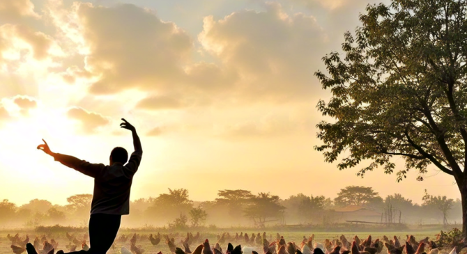 闻鸡起舞的典故及其出处
