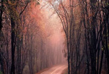 如何选手机号码最旺自己 根据生肖五行选择