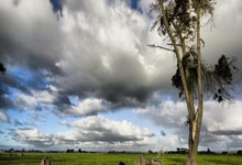 男人尾号什么最佳 事业有成的手机号