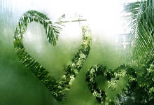 女人手机尾数看福气 吉利手机号推荐